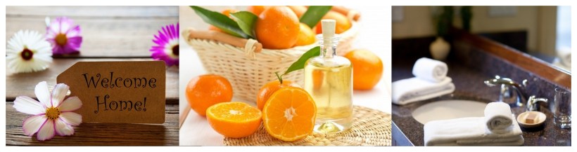 Green Cleaning Collage (2)